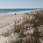 <p align=left>Au nord, comme au sud, la plage longue, des kilomètres de marche, de pieds nus dans le sable, les yeux rivés sur l'horizon, les oreilles tendues dans le bruit des vagues. La mer et moi, une histoire d'amour.